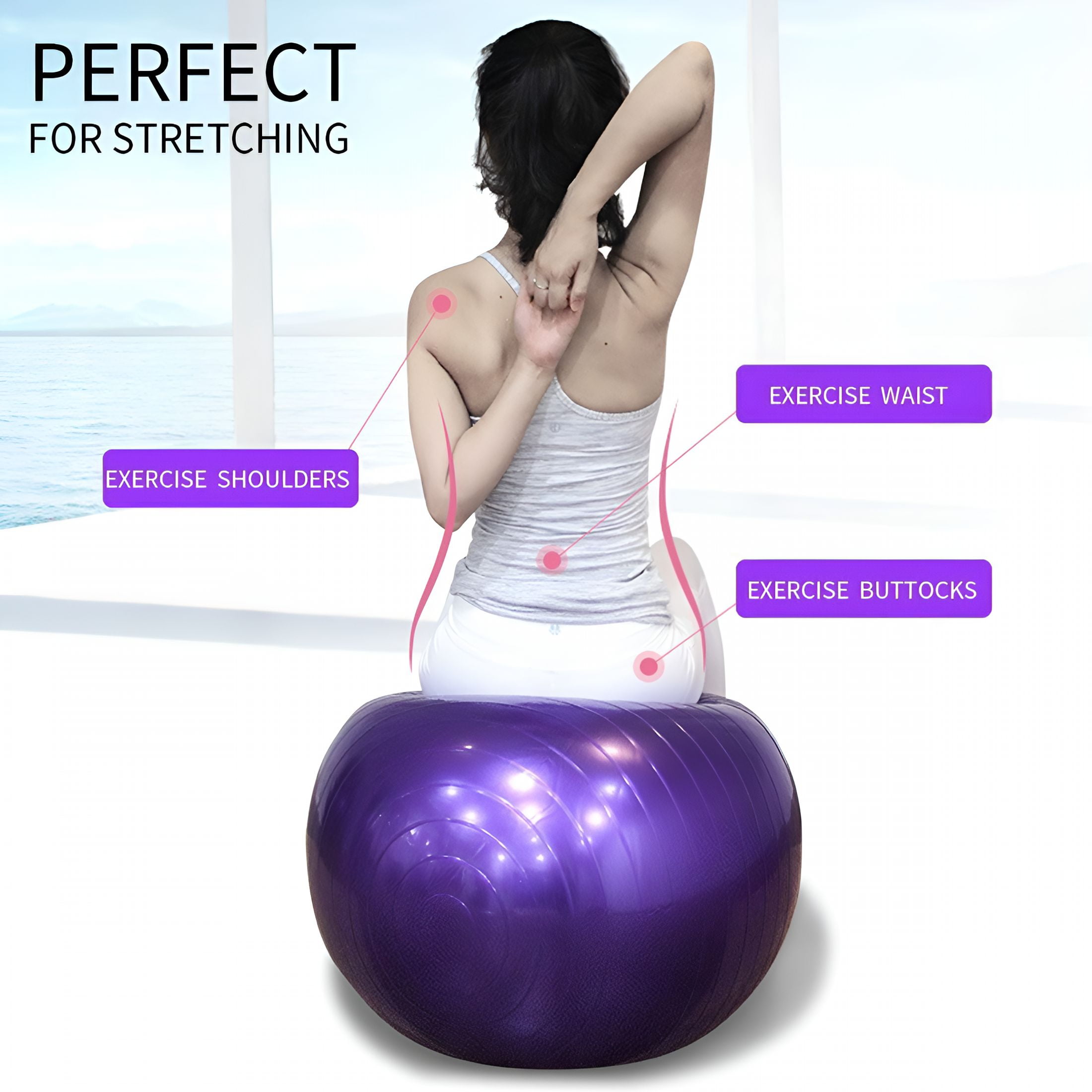 BESTSKY 2026 New Exercise Ball for Physical Therapy, Workout Fitness Ball for Core Strength, Yoga Ball for Balance & Flexibility, Gray