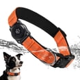 thumbnail image 1 of Collar para perros Furrigo mejorado con soporte para AirTag, impermeable, naranja, 1 of 6