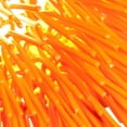 thumbnail image 4 of 169M01SOR Varaluz Lighting Urchin - One Light Uber Mini Pendant-Electric Pumpkin Finish, 4 of 5