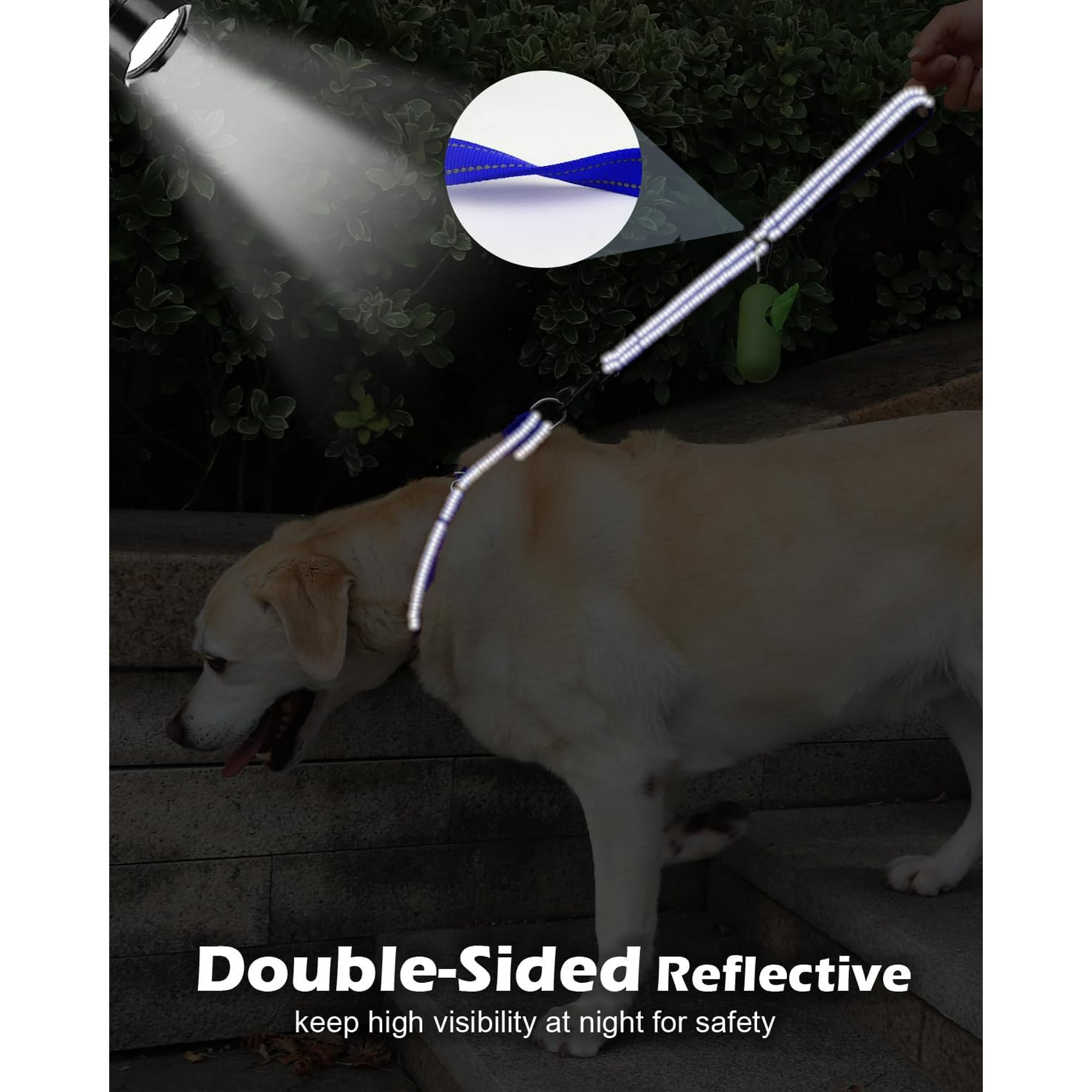 Dog leash with short and long handle online