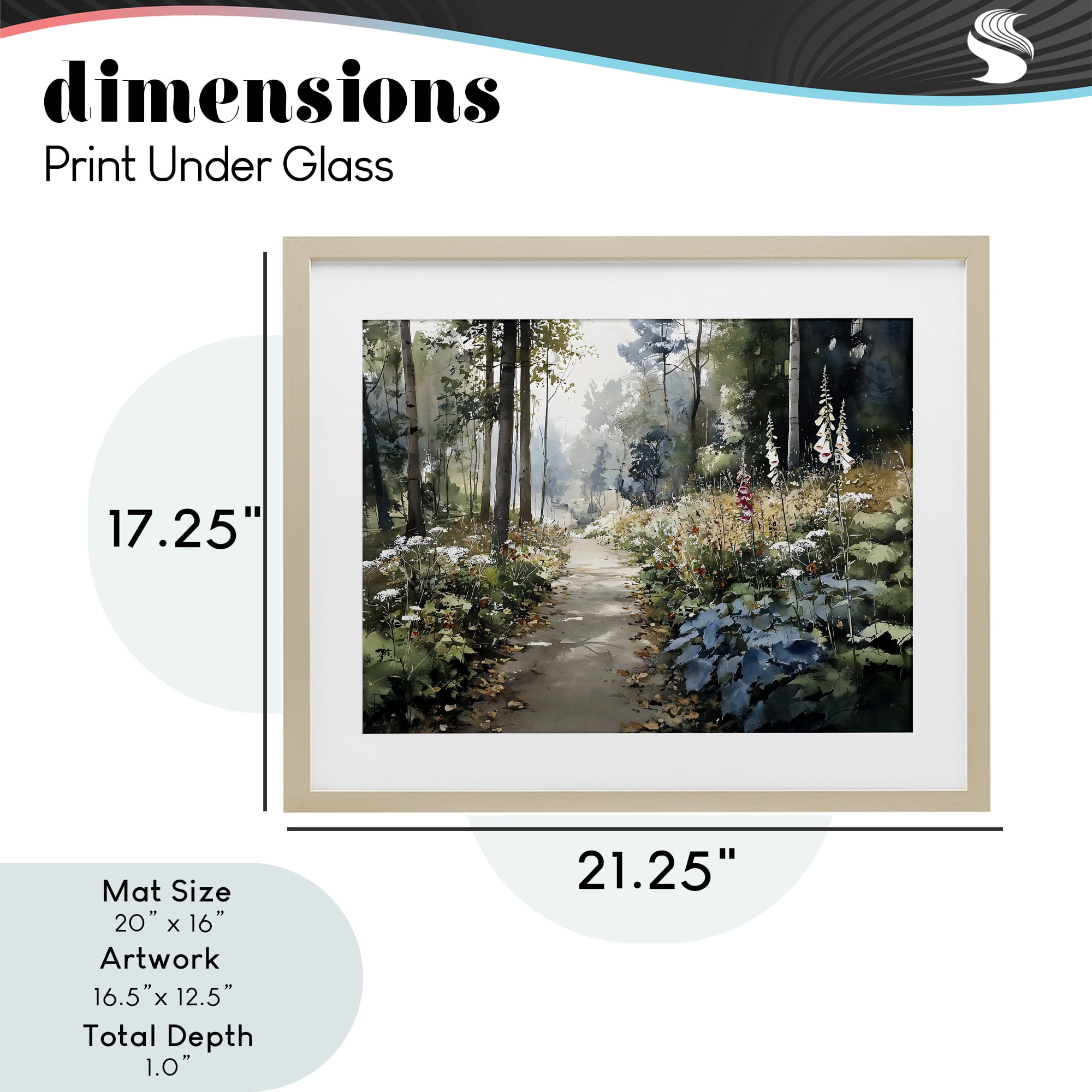 Stupell Industries Foliage Forest at Dusk Birch Framed Print Under Glass, design by Franklyn Gregory
