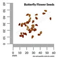 thumbnail image 3 of Ferry-Morse Butterfly Flower Asclepias, 3 of 10