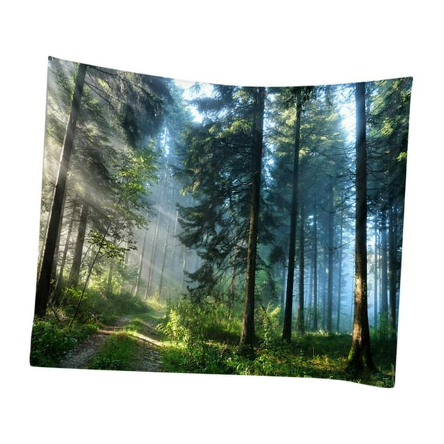 Abbracc Scenery Wall Hanging Tapestry Backdrop Skin-Friendly - Multicolor, 200x150cm _B 200x150cm