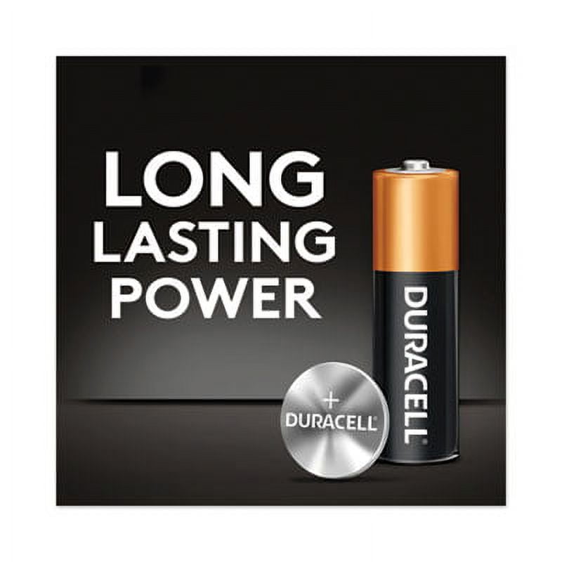 Power Boost CopperTop Alkaline AA Batteries 36/Pack MN15P36