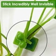 thumbnail image 4 of Dinheiro Clips para plantas trepadoras, 60 unidades, clips invisibles para plantas trepadoras, clips de pared autoadhesivos para soporte de plantas, clips adhesivos para plantas para potos, 4 of 8