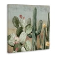 thumbnail image 2 of Stupell Industries Shabby Chic Cacti Blooms Among Thorns Canvas Art, 36 x 36, by Luna Mavis, 2 of 7