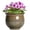 Yellowish Brown, variant on Ordivic 6 inch Vintage Brown Self Watering Ceramic African Violet Pot with Inner Pot,Indoor Porch Planter for ZZ Plant,Cactus ,Shelf,Table Decor