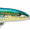 Dorado, variant on Rapala CDMAG14SM Count Down Magnum Fishing Lure 5 1/2" 1 1/4 oz Silver