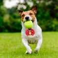 thumbnail image 5 of Mobutofu 1Pcs Polyester Collar for Dogs and Cats with Bell Sound 7.9-11.8in, 5 of 8