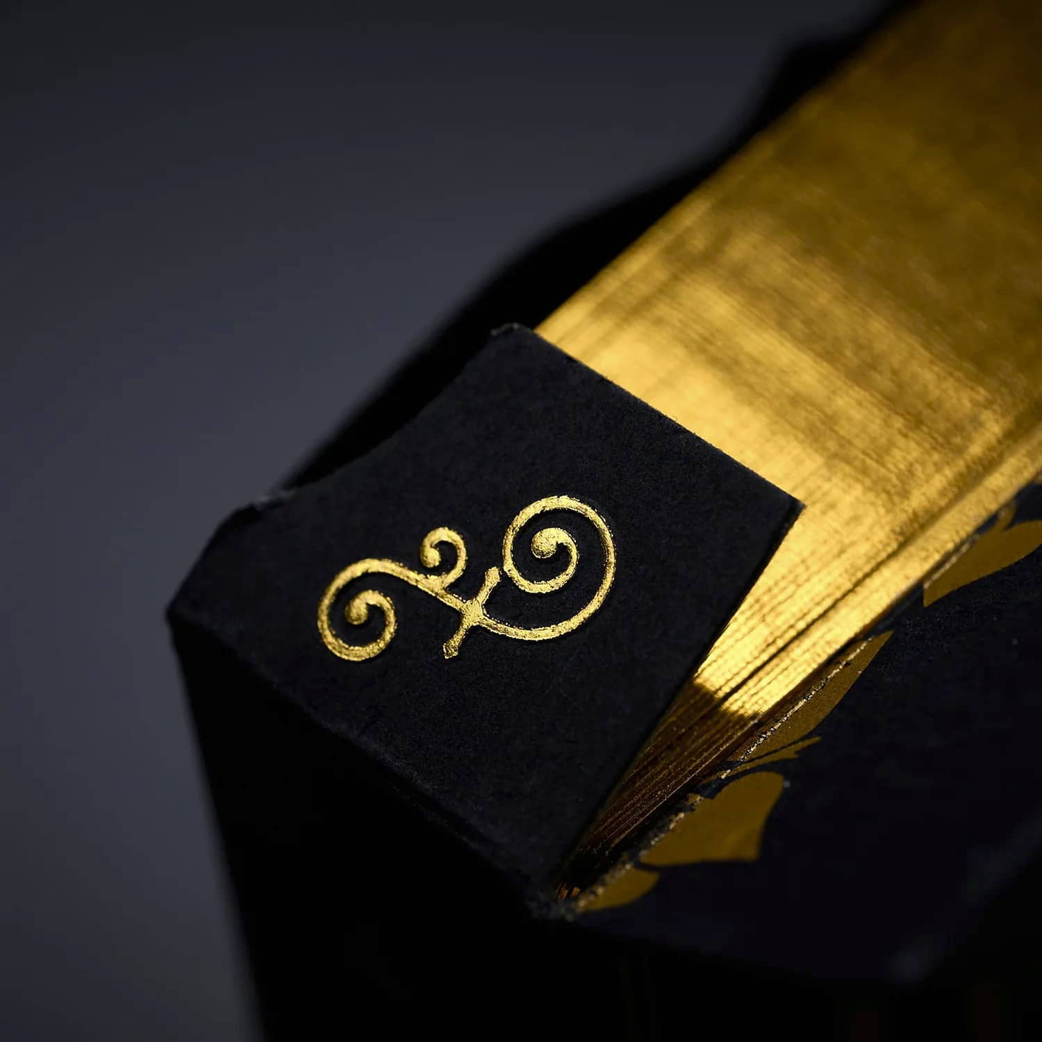 House of the Rising Spade - Gilded Cartomancer Playing Cards by Stockholm17