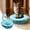 Light Blue, variant on Cat Toilet Training System, Step-by-Step Litter Box Transition Kit, Sturdy Plastic Cat Toilet Trainer for Standard Toilets(16 Inch,Pink)