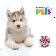 thumbnail image 2 of Juguete de hilo Fancy Pets Multicolor bola de hilo, 2 of 2