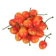 thumbnail image 3 of Firlar Fake Cherry Plastic Red And Yellow Cherries For Party Decor Realistic 2.5cm Simulation 50pcs/set 50pcs 205cm Mini Fruits, 3 of 14