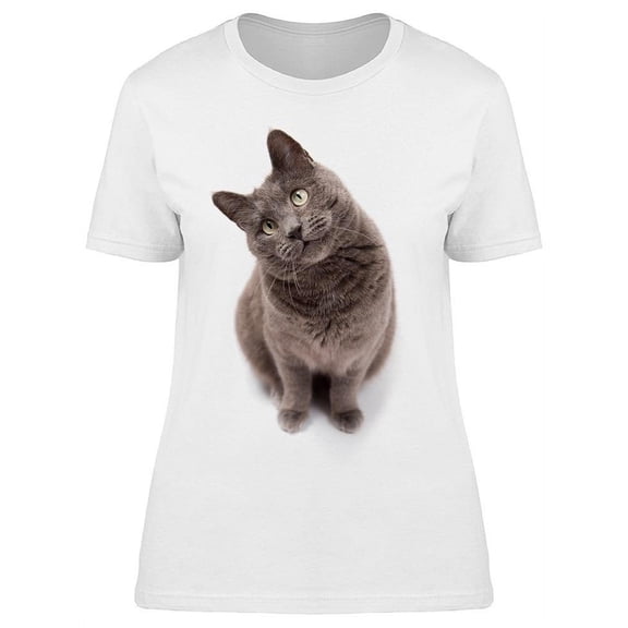 Beautiful Wondering Grey Cat T-Shirt Women -Image by Shutterstock, Female Large
