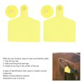 thumbnail image 4 of Cattle Identification Tags, Large Blank Cattle Ear Tag Ownership Proof  For Treating Diseases For Livestock, 4 of 8