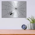 thumbnail image 4 of Luxe Metal Art 'Spider Web I' by Lettered & Lined, Metal Wall Art, 16"x12", 4 of 9