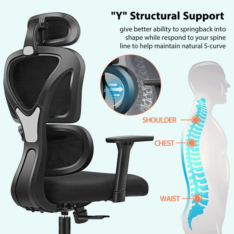 Ergonomic Office Chair, High Back Adjustable Computer Desk Chair with Lumbar Support, 300lb, Black-C, Size: 27.9 Large x 25.2 W x 46.1-52.2 H