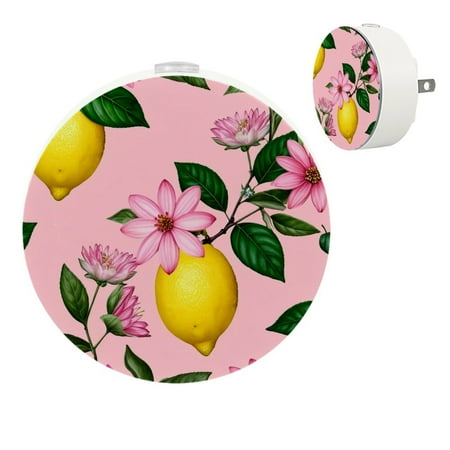 

YZUOUZY Lamp for Bedroom Night Lights Small Lamps Set of 2 Fruit Lemon Flowers Palm Leaves