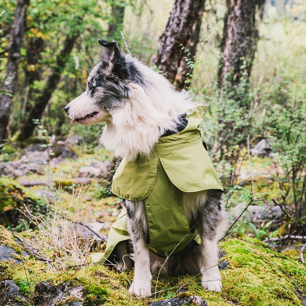 Lowestbest Dog Coats Small Waterproof, Adjustable Drawstring Warm And Cozy Dog Sport Vest Lowestbest Dog Coats Small Waterproof, Adjustable Drawstring Warm And Cozy Dog Sport Vest