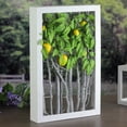 thumbnail image 3 of Northlight 18.5" White Birch Branch Lemon Tree Rustic Wooden Frame Decoration, 3 of 3