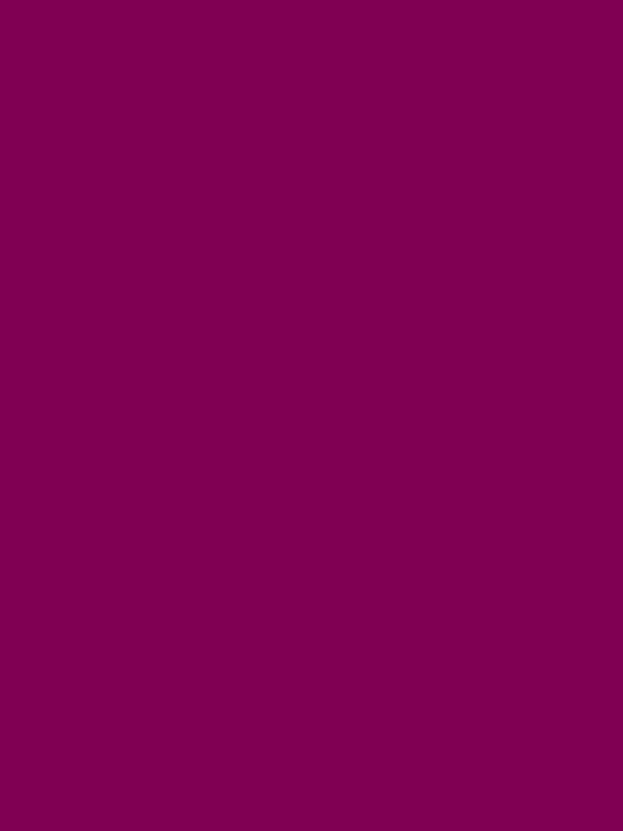 Design Master Colortool 12oz Fuchsia