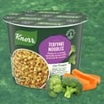 thumbnail image 5 of Knorr Pasta Sides Teriyaki Noodles Made with Real Vegetables, 2.6 Oz Cup, 5 of 10