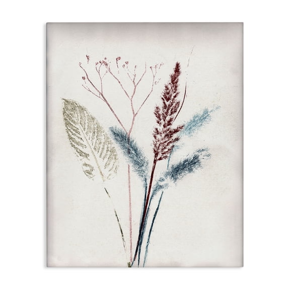 Stupell Industries Bohemian Natural Floral Impression Canvas Art, 16 x 20, by Pernille Folcarelli