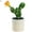 Style#1, variant on Visland Artificial Cactus Plants, Mini Fake Desert Plants in White Pots