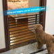 thumbnail image 3 of Puerta Corta Extensible Para Mascotas, Construcción Duradera, Acceso Seguro Para Perros Pequeños, Uso En Interiores, 3 of 7