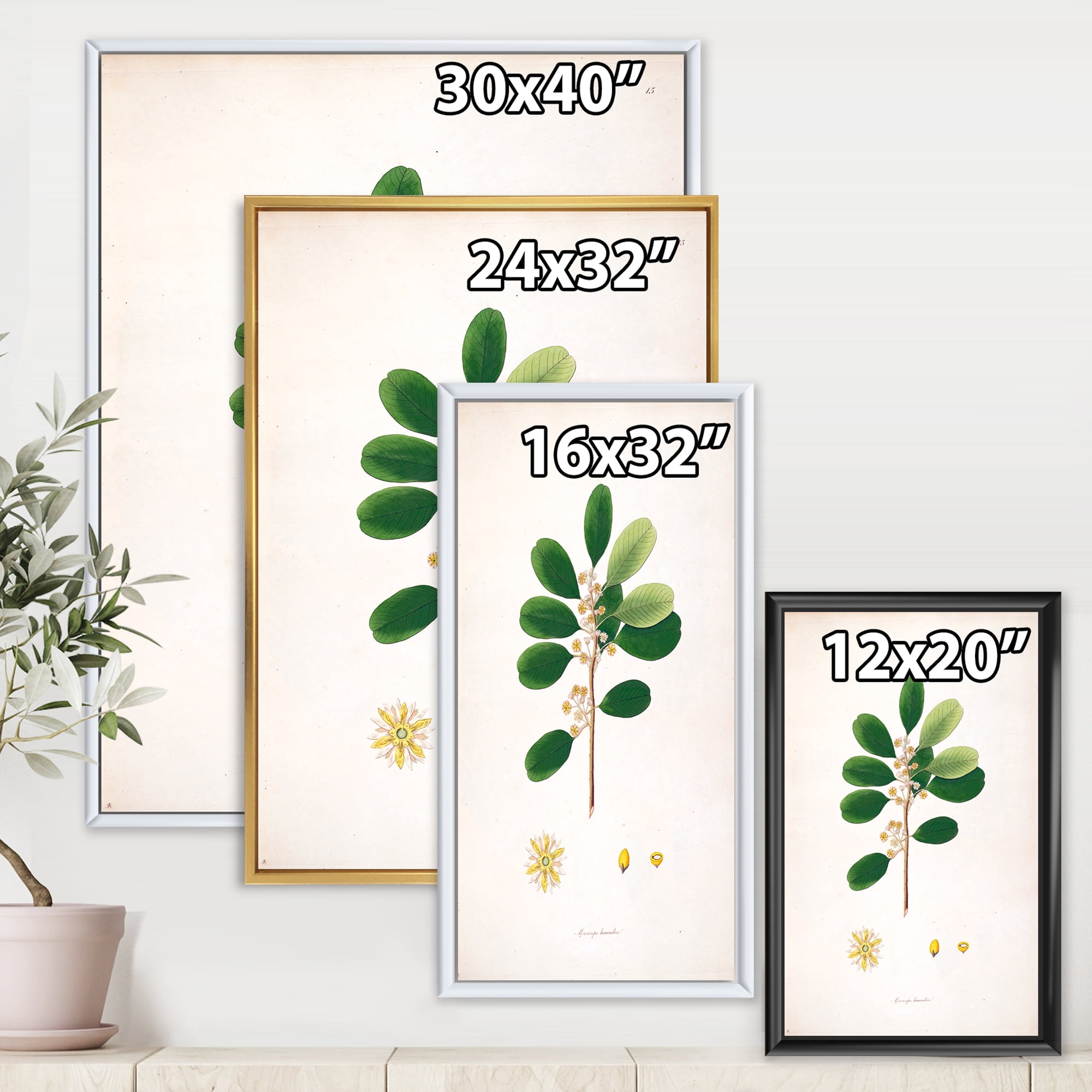 Designart 'Ancient London Plants IX' Farmhouse Framed Canvas Wall Art Print