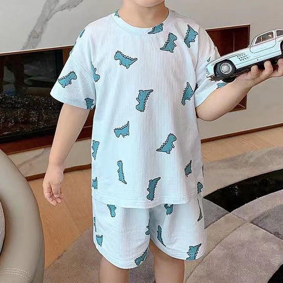 Sentuca Boys Clothes Size 2 Years Summer Thin Loungewear Dinosaur Graphic T Shirts and Shorts Outfit Sets for Toddler Clothes