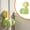 Green, variant on CSSJKYJ Rotating Suction Mop Holder – No Drill Wall Mount Broom & Mop Organizer for Kitchen Bathroom Laundry (Green)