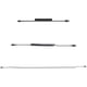 thumbnail image 4 of Cable StarTech RUSB2ALT1MBC USB a Lightning de 1 m, enrollado, negro, 4 of 7