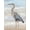 Canvas, variant on Art.com Beach Heron II Art Print by Ethan Harper, White Frame Wall Art, 32" x 40"