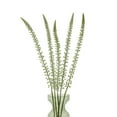thumbnail image 4 of Hill Interiors Eremurus Stem Artificial Plant, 4 of 4