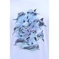 thumbnail image 2 of Men's Gravity Trading Color Changing Cool Dolphins, White XL, 2 of 2