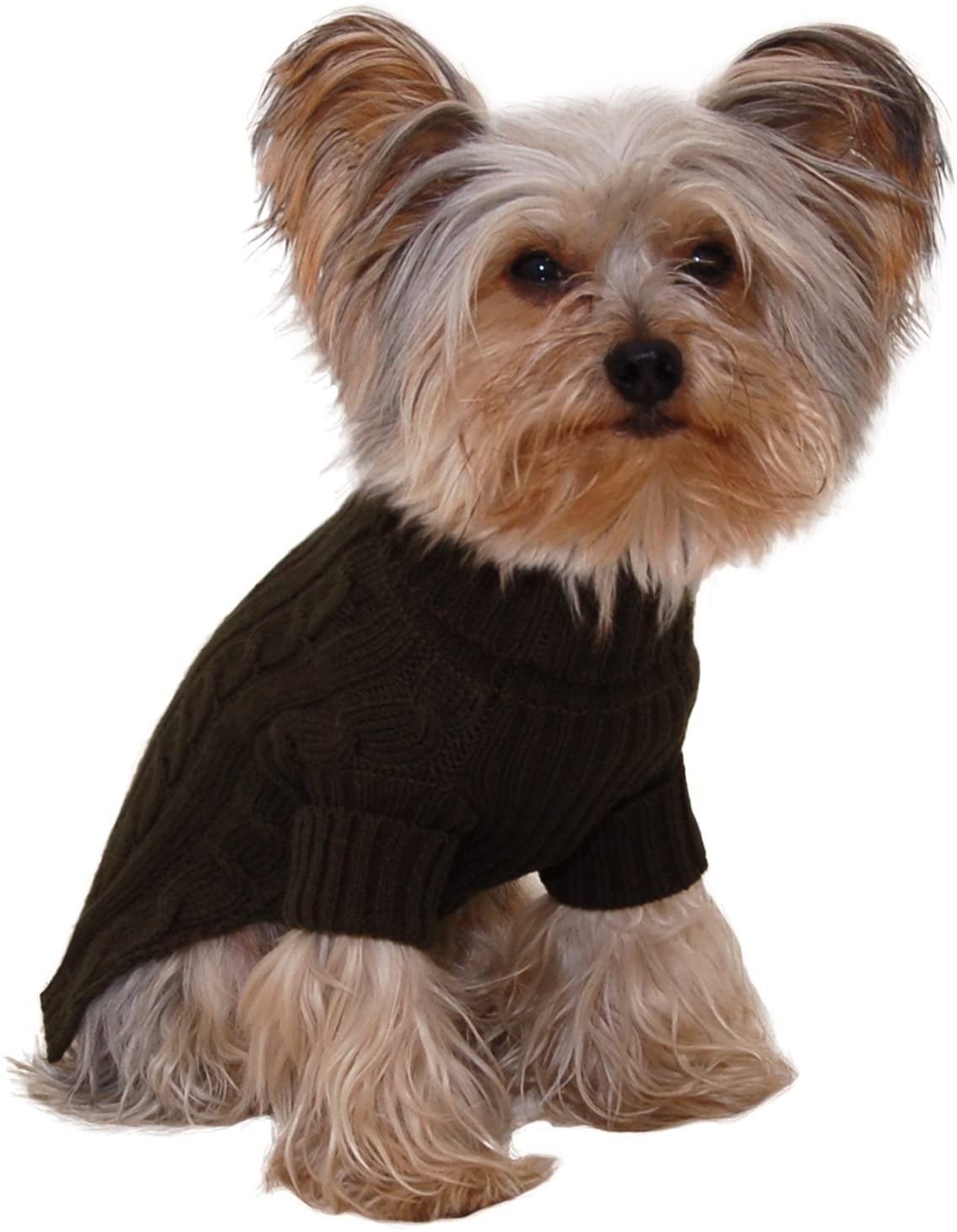 dog with turtleneck