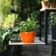 thumbnail image 5 of Ordivic 8 inch Glossy Orange Ceramic Planter with Drainage Hole & Saucer,Medium Plant Pot for Snake Plant & Pothos, Modern Shelf Decor Gift, 5 of 5