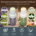 thumbnail image 5 of Scentered SLEEP WELL & DE-STRESS Aromatherapy Essential Oils Balm Gift Set - For Restful Sleep & Relaxation - All-Natural Blends of Lavender, Ylang Ylang, Cedarwood, Chamomile, 5 of 7
