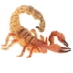 thumbnail image 2 of de Modelo de Animal Escorpión Amarillo Juguete Decoración para hogar Coleccionable, 2 of 7