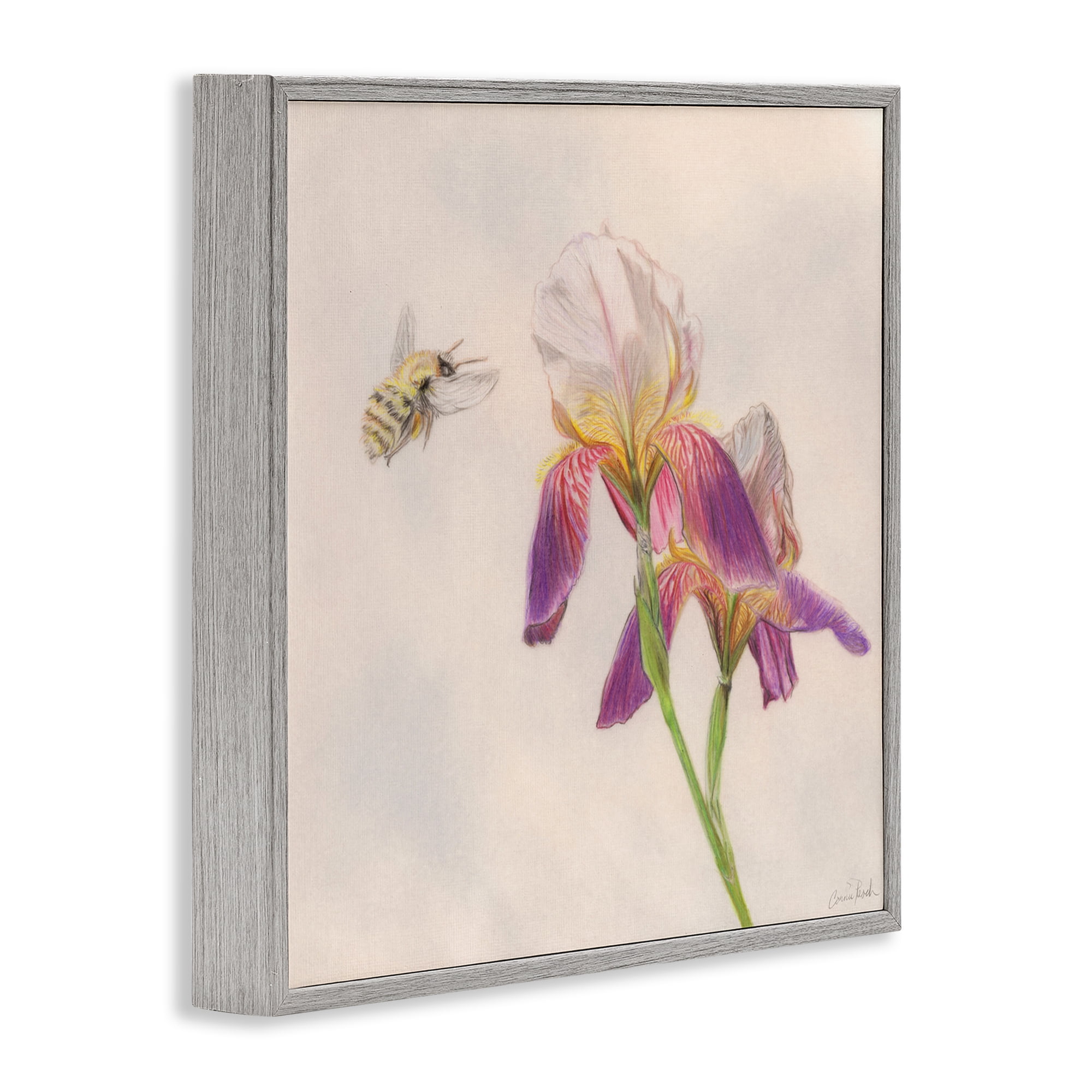 Stupell Industries Spring Offerings Bee Animals & Insects Painting Gray Framed Art Print Wall Art, 12 x 12