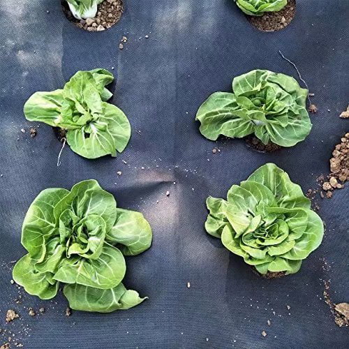 Easy-Plant Weed Block for Raised Bed,Weed Rugs Garden mat for Radish 3.0oz,4X6' 
