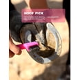 thumbnail image 5 of Grooming Kit Pink Complete Equine Brush Set for Shedding Daily Care, 5 of 7