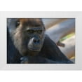 thumbnail image 3 of Susann Parker 32x23 White Modern Wood Framed Wall Art Titled - The Thinker, 3 of 5