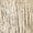 Gold, variant on Professional Elastic Dancewear Competition Outfit Long Fringe Stage Skirt