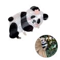 thumbnail image 2 of Elegant Panda Hair Lovely Clip Hairpin Women Hair Styling Tool for Side Hair InsStyle Teens Girls Headdress, 2 of 9