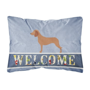 Carolines Treasures BB8285PW1216 Bavarian Mountian Hound Welcome Canvas Fabric Decorative Pillow, Blue, 12H x16W,