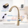 thumbnail image 6 of Cerypsa Brushed Gold Pull Down Single Handle Kitchen Faucet, 6 of 8