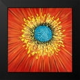 thumbnail image 2 of Atelier B Art Studio 12x12 Black Modern Framed Museum Art Print Titled - Close-up on a red flower, 2 of 5