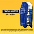 thumbnail image 4 of Bratla Pro Colored Cricket Batting Pads Legguard Adult, 4 of 12
